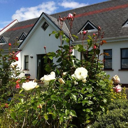 Coonagh Lodge B&B Limerick Junction Exterior foto