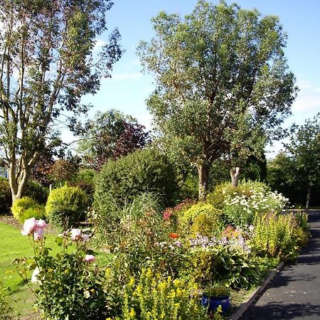 Coonagh Lodge B&B Limerick Junction Exterior foto