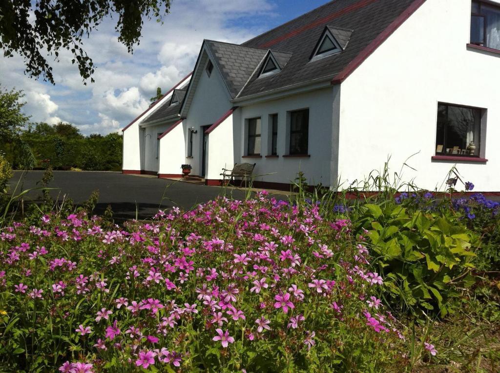 Coonagh Lodge B&B Limerick Junction Exterior foto