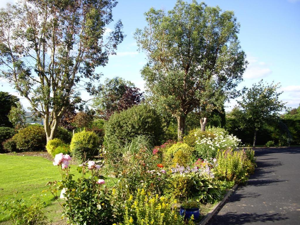 Coonagh Lodge B&B Limerick Junction Exterior foto