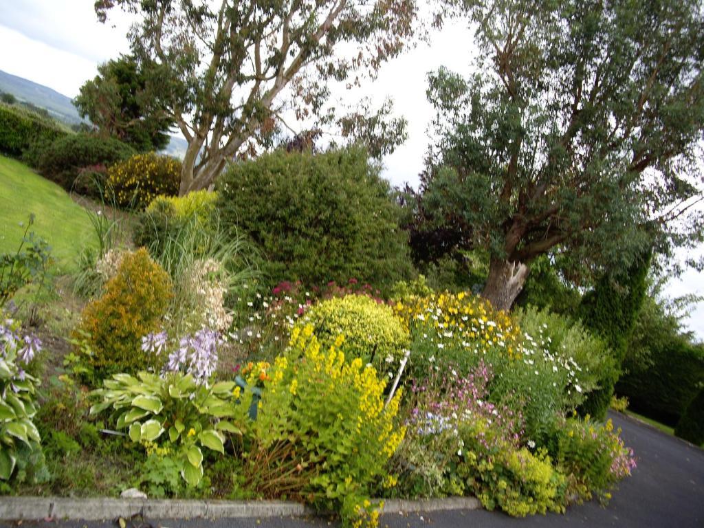 Coonagh Lodge B&B Limerick Junction Exterior foto